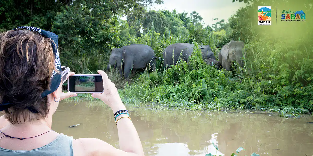 The Great Borneo Adventure: Premium Edition